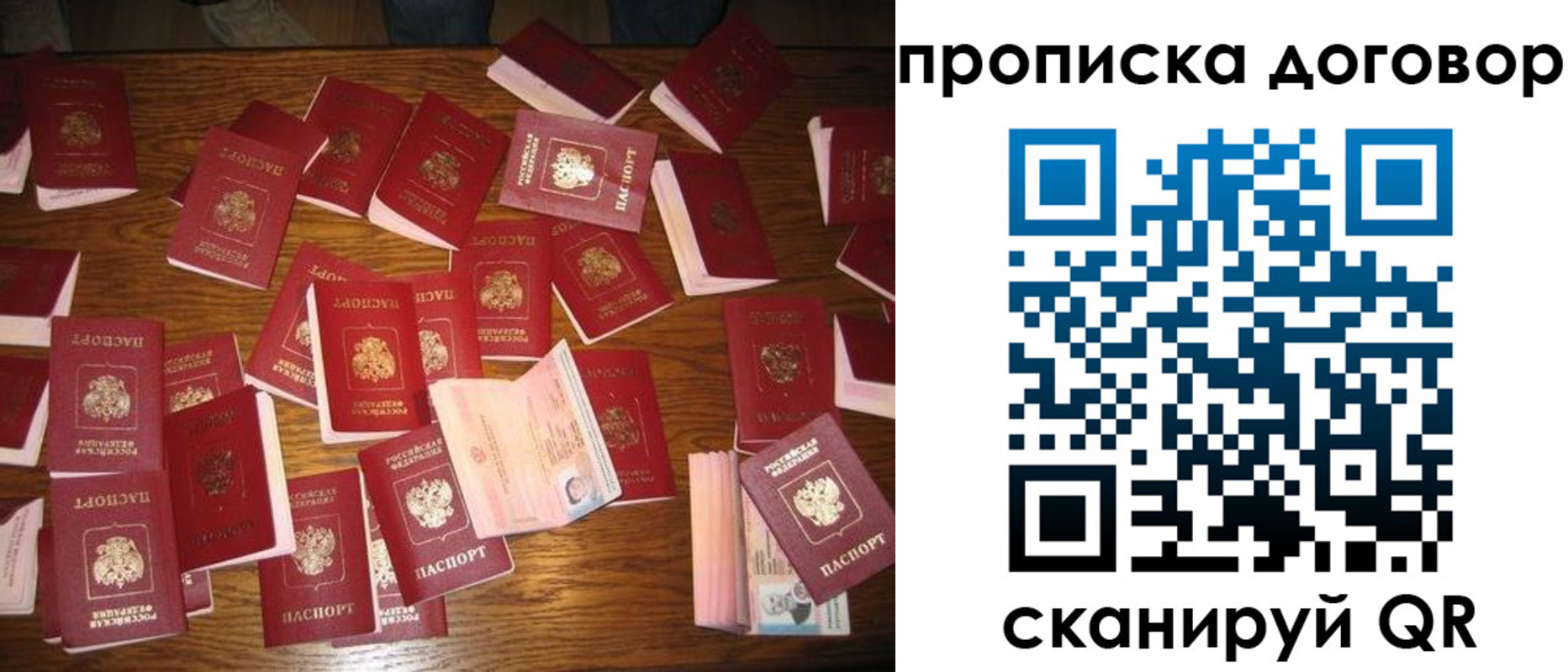 временная регистрация гарантия в Тимашёвске