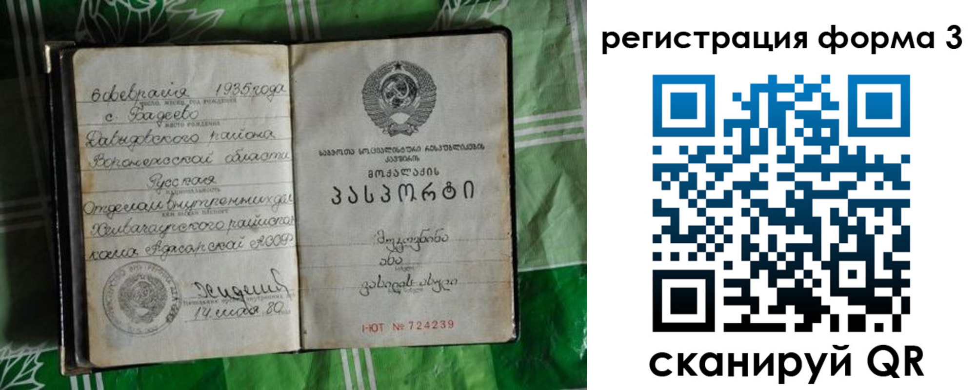 прописка законно в Тимашёвске